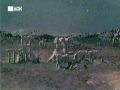 044[(042864)11-49-17].JPG